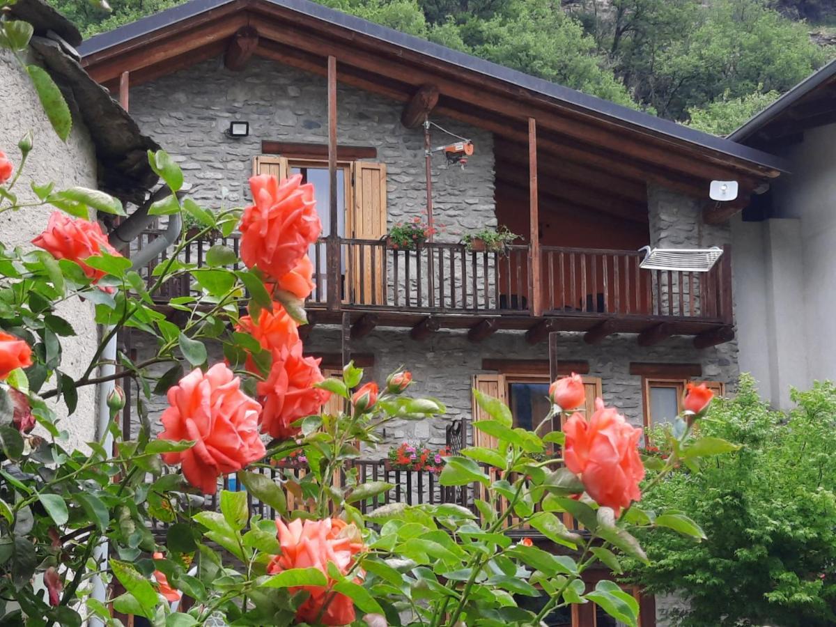 סוסה Agriturismo Al Pra Di Muriet מראה חיצוני תמונה