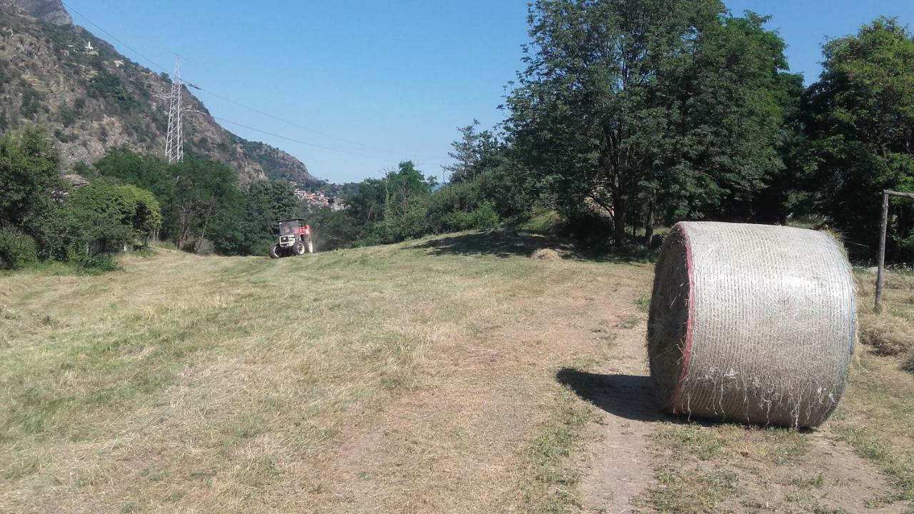 סוסה Agriturismo Al Pra Di Muriet מראה חיצוני תמונה