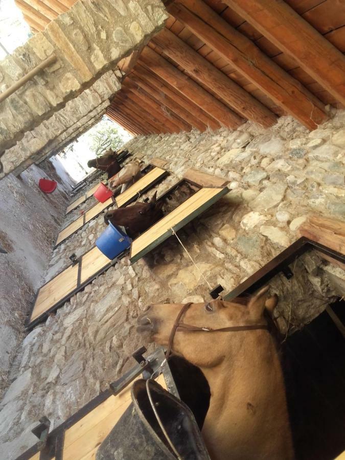 סוסה Agriturismo Al Pra Di Muriet מראה חיצוני תמונה